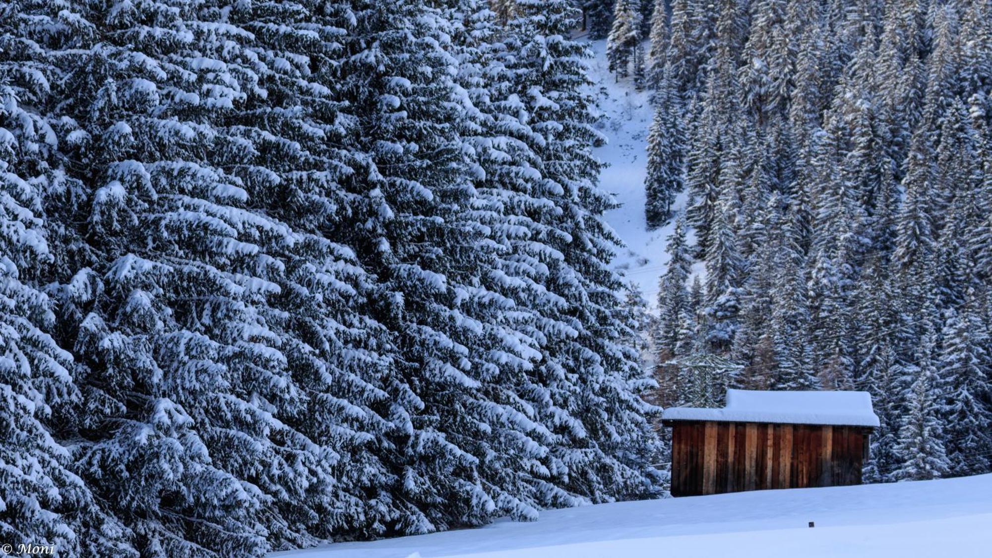 Apartamento Haus Timmler Sankt Anton am Arlberg Exterior foto