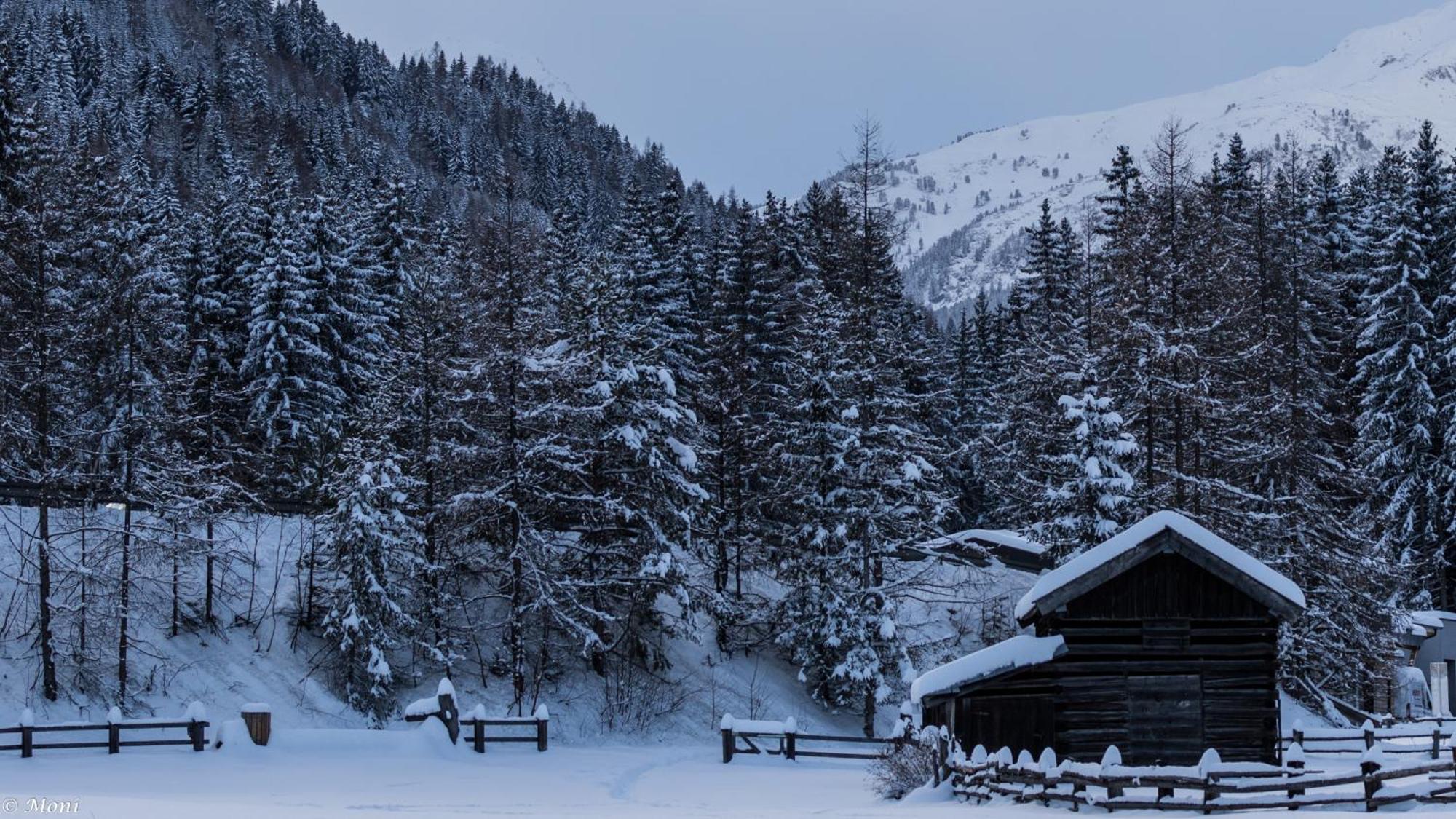 Apartamento Haus Timmler Sankt Anton am Arlberg Exterior foto